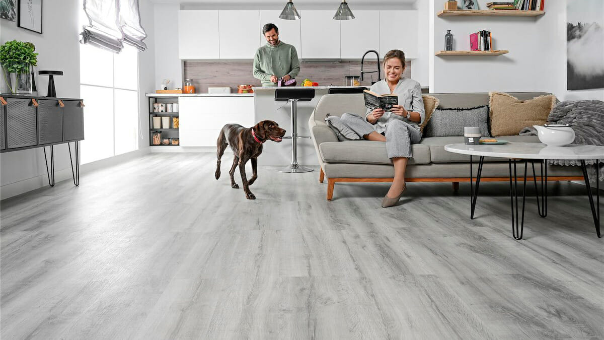 Suelos laminados y mascotas, ¿se puede?