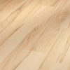 Arce 6017