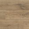 Roble medio 6131 LD 300 | 20