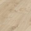 Roble Atacama 6380