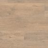 Roble Barista 6420