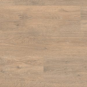 Roble Barista 6420