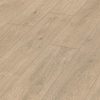 Roble Caledonia 6421