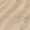 Roble Glaciar 6838