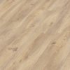 Desert Oak 6998