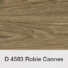 ROBLE CANNES