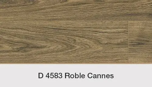 ROBLE CANNES