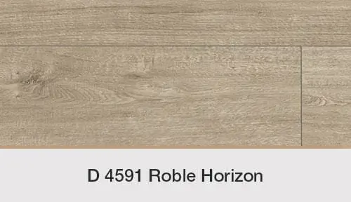 ROBLE HORIZON