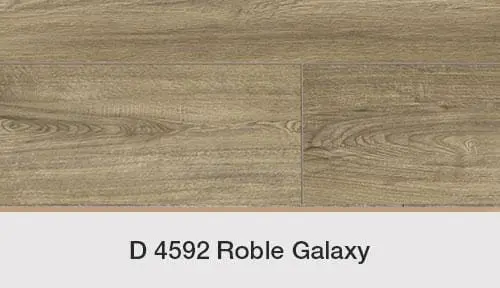 ROBLE GALAXY