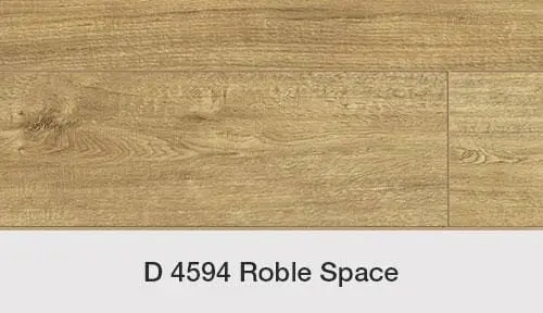 ROBLE SPACE