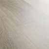 Roble Venecia gris