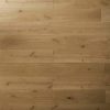 Roble Invisible