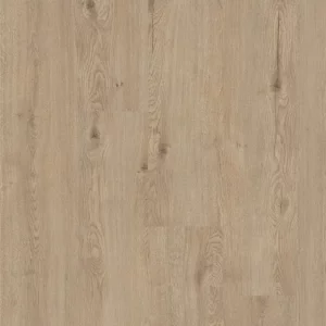 S184183 Roble Toja