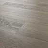Lincoln Oak