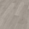 Roble Perla