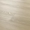 Salerno Oak