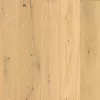 Invisible