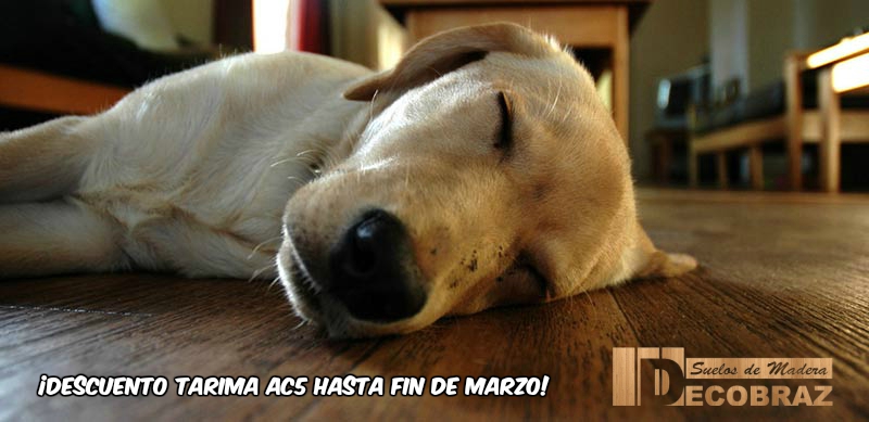¡Descuento tarima ac5 en Madrid!